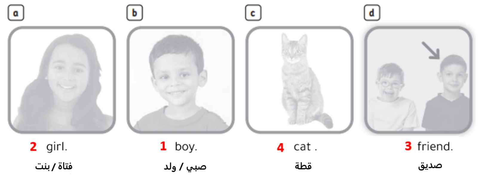 activity book3
